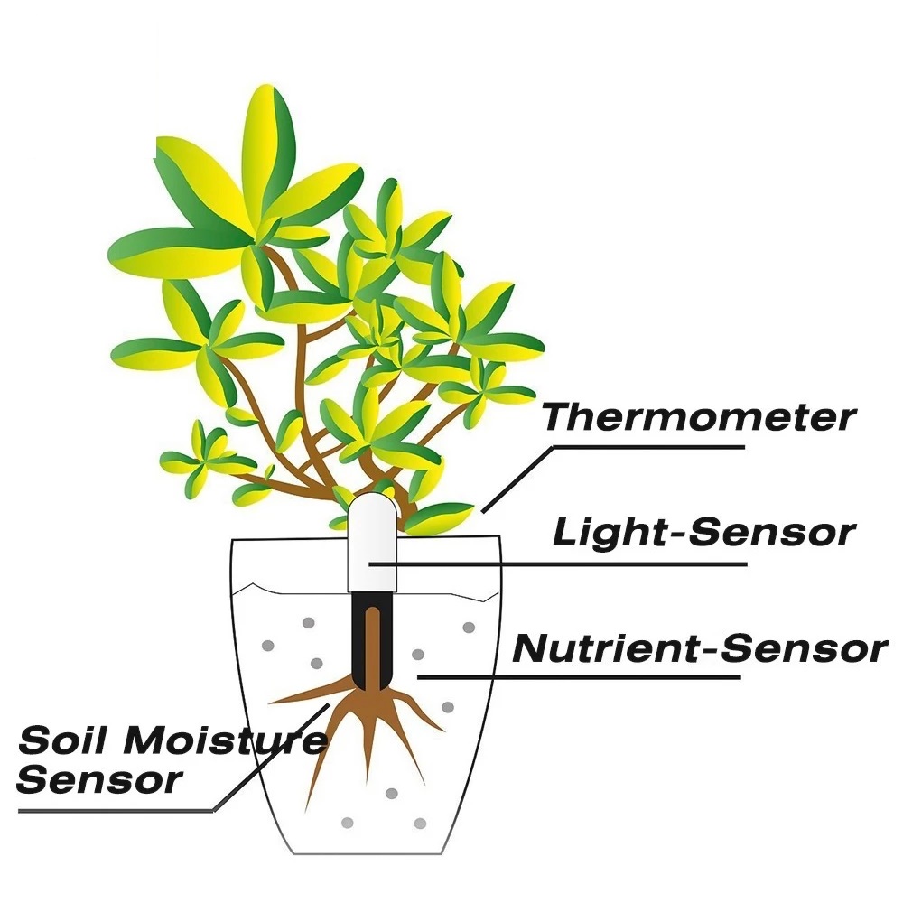 HHCC 꽃 모니터 식물 정원 관리 식물 잔디 토양 물 - Smart Garden Hub 리뷰 및 가격